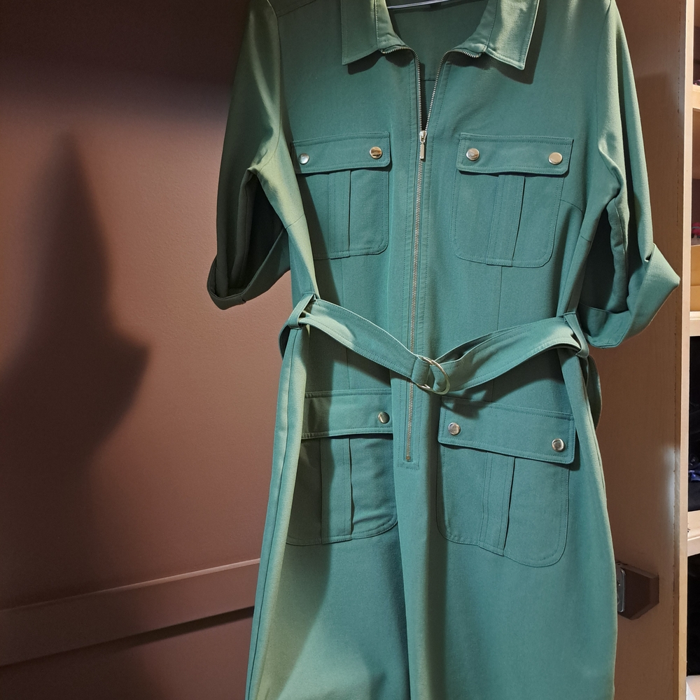 Sharagano Khaki Green Belted Dress